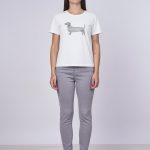 t Shirt Bassotto