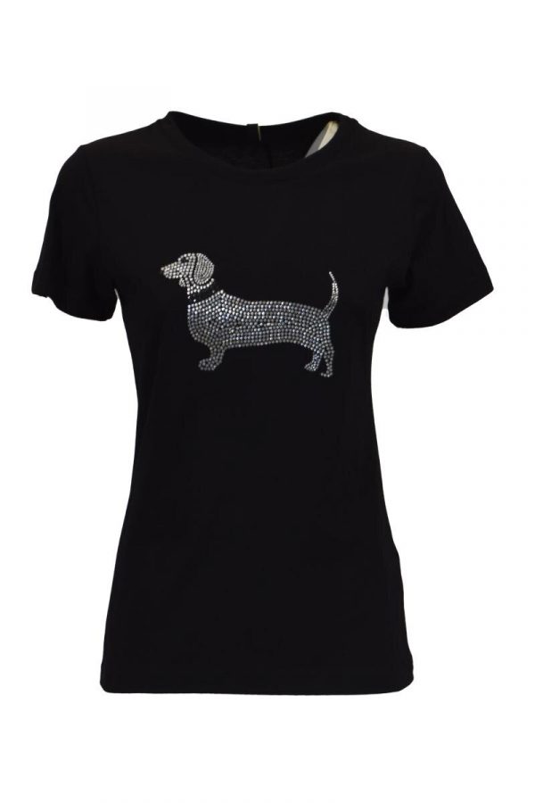 t Shirt Bassotto